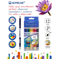 Набор стираемых цветных карандашей ACMELIAE 12цв.  картонном футляре (ACMELIAE 43738)